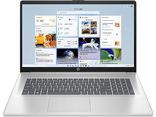 HP 17.3 inch Laptop 17-cn4039TU, Silver - 17.3-inch - Natural Silver (CJ1C4PA)