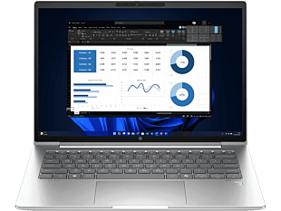 HP ProBook 440 14 inch G11 Business Laptop, Silver - 14-inch - Pike silver plastic (A45RLPT)