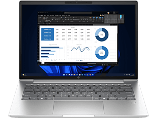 HP ProBook 445 14 inch G11 Business Laptop, Silver - 14-inch - Pike silver plastic (A4ME5PA)