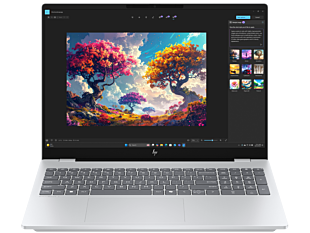 HP OmniBook 7 16 inch AI 16-ay0019TU, Silver - 16-inch - Meteor silver (C42G6PA)