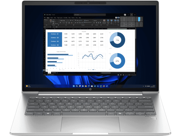 HP ProBook 440 14 inch G11 Business Laptop, Silver - 14-inch - Pike silver plastic (A45RLPT)