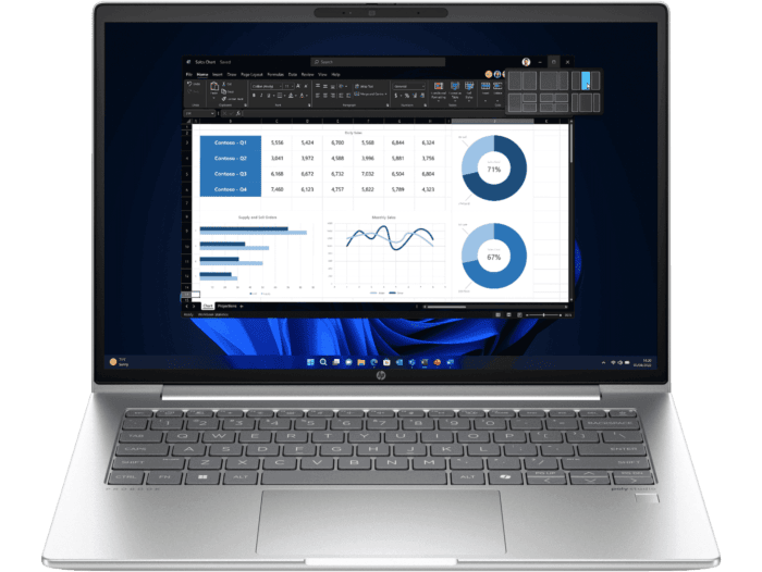 HP ProBook 445 14 inch G11 Business Laptop, Silver - 14-inch - Pike silver plastic (A4ME5PA)