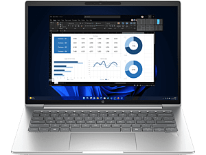 HP ProBook 440 14 inch G11 Business Laptop, Silver - 14-inch - Pike silver plastic (A4LT4PA)